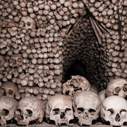 How to Overcome Extinction: Darwin and Genetics